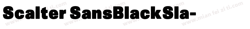 Scalter SansBlackSla字体转换